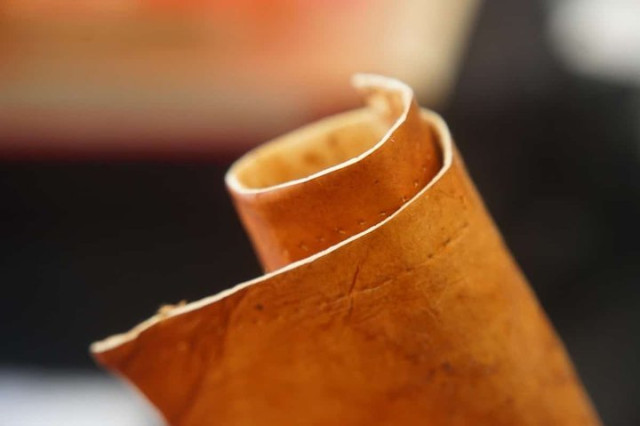 Так виглядає шкіра, виготовлена з грибів 